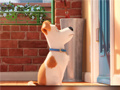 Permainan Hidden Letters in The Secret Life of Pets