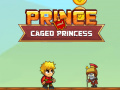 Permainan Prince and Caged Princess  