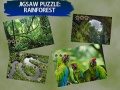 Permainan Jigsaw Puzzle Rain Forest 