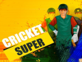 Permainan Super Cricket      