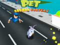 Permainan Pet Subway Surfers