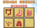 Permainan Human Organs Scanner