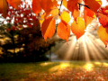 Permainan Jigsaw Puzzle: Autumn