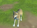 Permainan Wolf Simulator