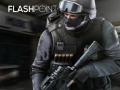 Permainan Flashpoint