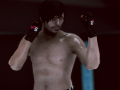 Permainan MFS: MMA Fighter