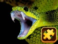 Permainan Snake Puzzle Challenge