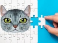 Permainan Abyssinian Puzzle Challenge