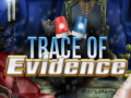 Permainan Trace of Evidence