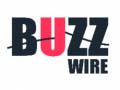 Permainan Buzz Wire