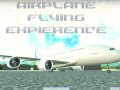 Permainan Airplane Flying Expierence