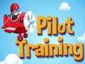 Permainan Pilot Training