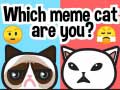 Permainan Which Meme Cat Are You?