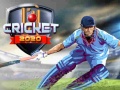 Permainan Cricket 2020