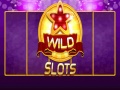 Permainan Wild Slot