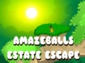 Permainan Amazeballs Estate Escape