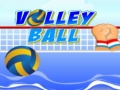 Permainan Volley ball