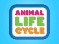 Permainan Animal Life Cycle