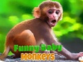 Permainan Funny Baby Monkey