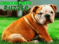 Permainan Bulldog Puppy Puzzle