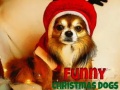 Permainan Funny Christmas Dogs