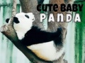 Permainan Cute Baby Panda