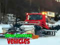 Permainan Snow Groomer Vehicles