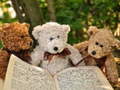 Permainan Cuddly Three Teddy Jigsaw