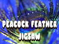 Permainan Peacock Feather Jigsaw