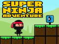 Permainan Super Adventure Ninja