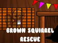 Permainan Brown Squirrel Rescue