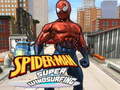 Permainan Spiderman Skateboarding