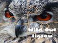 Permainan Wild owl Jigsaw