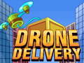 Permainan Drone Delivery