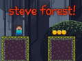 Permainan Steve Forest