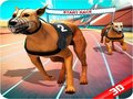 Permainan Crazy Dog Race