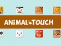 Permainan Animal Toush