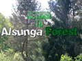 Permainan Return To Alsunga Forest