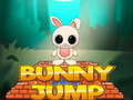 Permainan Bunny Jump