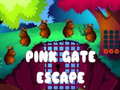 Permainan Pink Gate Escape