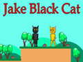 Permainan Jake Black Cat