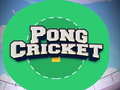 Permainan Pong Cricket