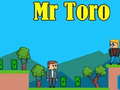 Permainan Mr Toro