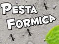 Permainan Pesta Formica