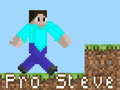 Permainan Pro Steve