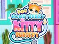 Permainan Doc HoneyBerry Kitty Surgery