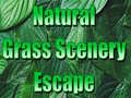 Permainan Natural Grass Scenery Escape