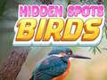 Permainan Hidden Spots Birds