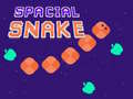 Permainan Spacial Snake