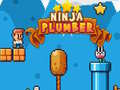 Permainan Ninja Plumber